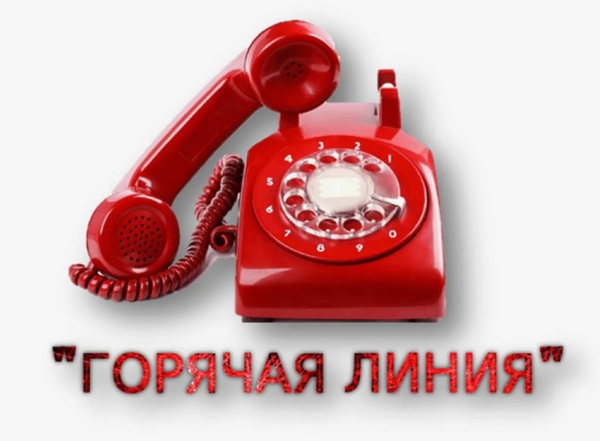Внимание! Горячая линия! (по вопросам детского отдыха, качества и безопасности детских товаров).